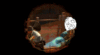 FreakinCool Avatar