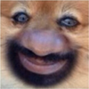 texie Avatar