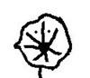 treesaregood Avatar
