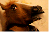 hetreks Avatar