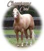 thatsonekuhlhorse Avatar