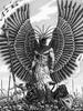 aztecofthegods Avatar