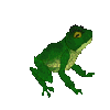 namcokiller Avatar