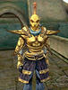 nerevarine Avatar