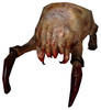 headcrabnl Avatar