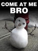 thenordicsnowman Avatar