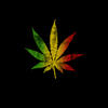 mizle Avatar
