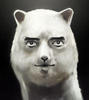 epicllamabear Avatar
