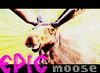 EpicMoose Avatar