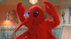 dancinlobstas Avatar