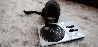 DJKitty Avatar