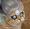 SpankThePanda Avatar