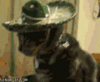lolmoney Avatar