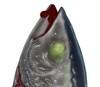 maldivesfish Avatar
