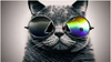 mrdudeface Avatar