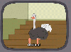hokiefan Avatar