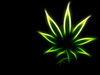 Greenbud Avatar
