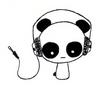 aaronthefknpanda Avatar