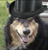 TheDLT Avatar