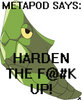 Metapod Avatar