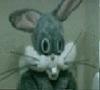 bargsbunnay Avatar