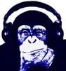 wasrigmonkey Avatar