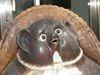 daycare Avatar