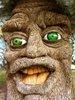 nineelevenwasbad Avatar