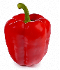 uzzwick Avatar