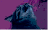 tstroma Avatar