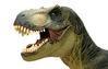 tyrannosauris Avatar