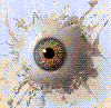 robmagic Avatar