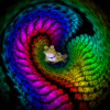 sloother Avatar