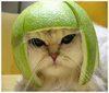 applesarenice Avatar