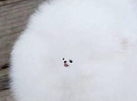 I+make+a+list+of+penguinz0+videos+lock+m