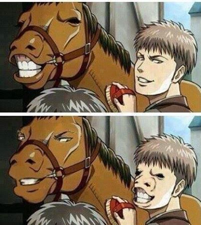 Magnificent+stallion+jean+_2ee7ced807149