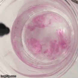 10 Neat Chemistry and Physics Gifs #9. 1. Iron + solution of corrosive sodium metasilicate 2. Leidenfrost effect with Steel Ball 3. Explosion of Methan/Air Mixt