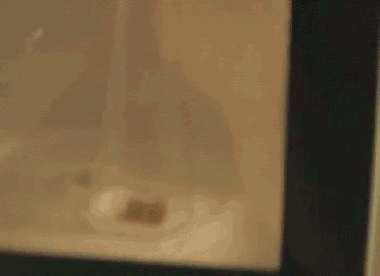 10 Neat Chemistry and Physics Gifs #8. 1. Supercooled water freezes on contact with ice 2. Elephant toothpaste 3. Sodium sulfite, citric acid, and sodium iodate