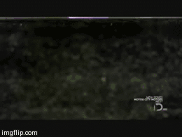 10 Neat Chemistry and Physics Gifs #9. 1. Iron + solution of corrosive sodium metasilicate 2. Leidenfrost effect with Steel Ball 3. Explosion of Methan/Air Mixt