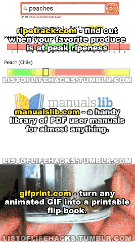 a few websites worth looking at. chessacademy.com/ typehere.co/ app.thefacesoffacebook.com/ www.canistream.it/ rasterbator.net/ www.savewalterwhite.com/ camelca