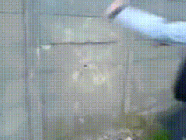 A missed placed folder. just reorganizing.. Now with sound!