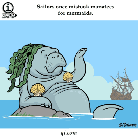 ANIMAL FERCTS. .. Let's take a closer look at that m80.