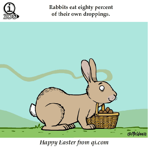 ANIMAL FERCTS. .. Let's take a closer look at that m80.