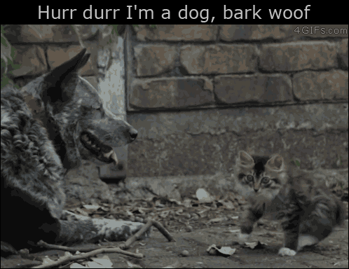 Animal_7f5283_5412232.gif