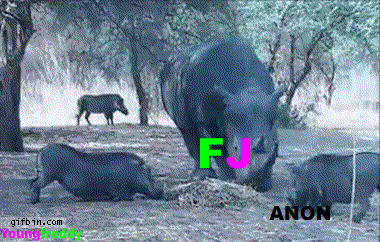 Anon vs FunnyJunk Anon vs FunnyJunk. Just edited a funny gif i saw earlier to make it more suited to FJ My first gif! original: /funny_gifs/3378648/Rhino+vs+Warthog/#leave_a_comm