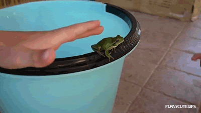 Aquaticals. just click the videos, trust me.. "Donatello! NOOOOOOO!"