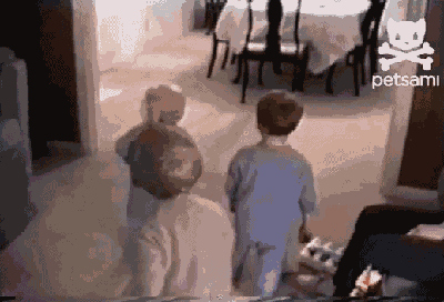 Asshole Animals. Oh baby a triple! Oh hey look it's this one again!.