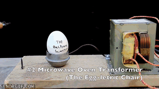 Extremely Hazardous Ways to Cook Eggs. The Fresnel Lens Turns And Egg Into an Inedible Piece of Moon Rock Though Using a Squirt Gun Flamethrower Doesn't Cook Eg