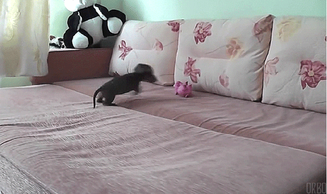 Infinite Loops. INB4 "hey op you forgot one" I deleted this one when I was in the upload form. This has happened to me before too. And yes Im sure I d