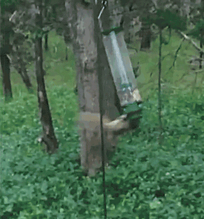 Infinite Loops. INB4 "hey op you forgot one" I deleted this one when I was in the upload form. This has happened to me before too. And yes Im sure I d